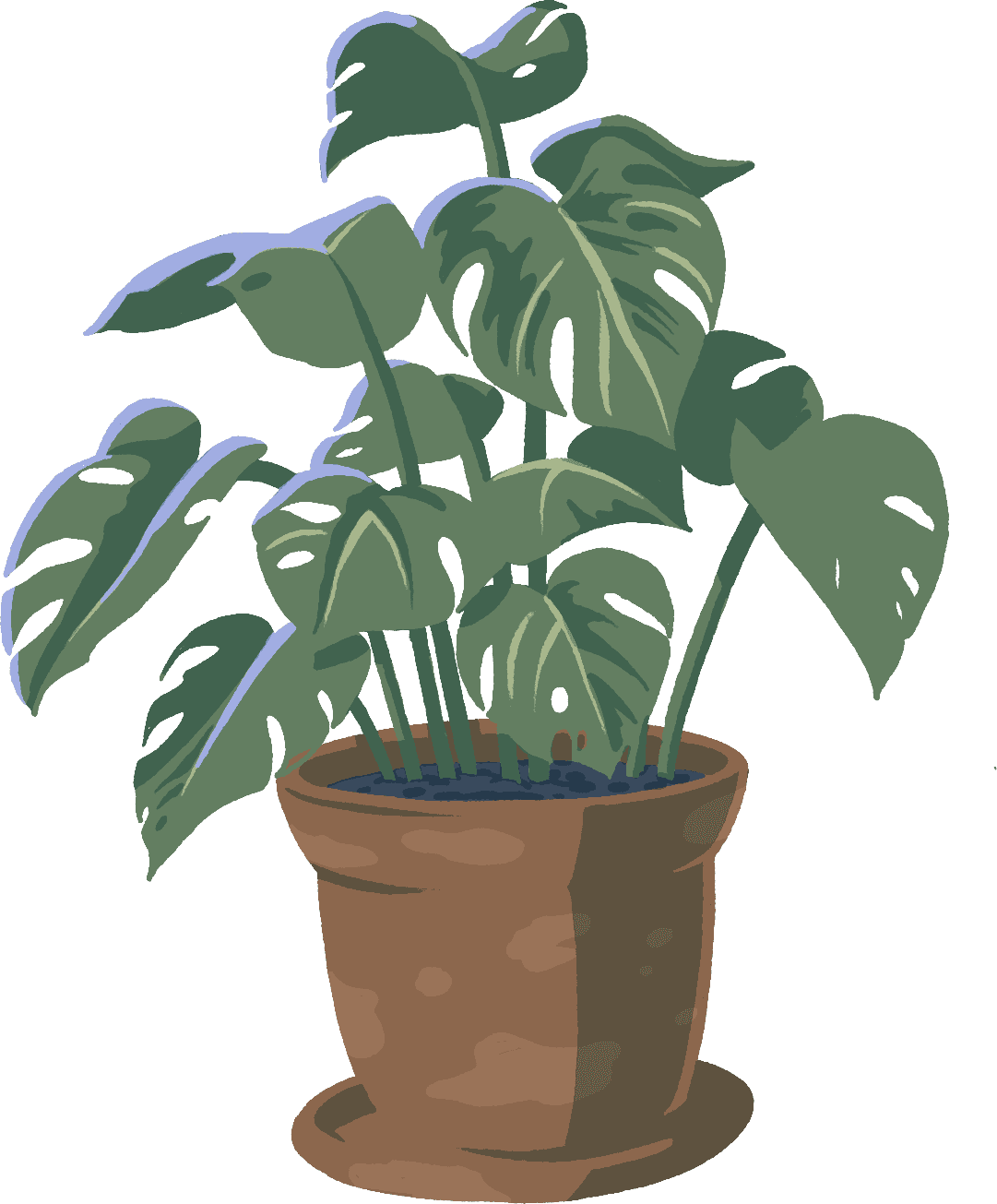 illustration of plant
