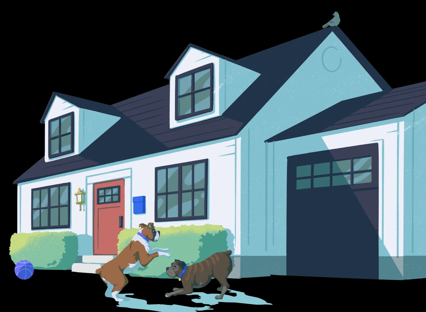 Home with two dogs playing in the front yard.